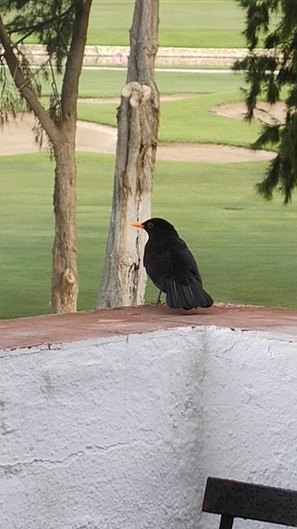 丰希罗拉Am Mijas Golf Views公寓 外观 照片